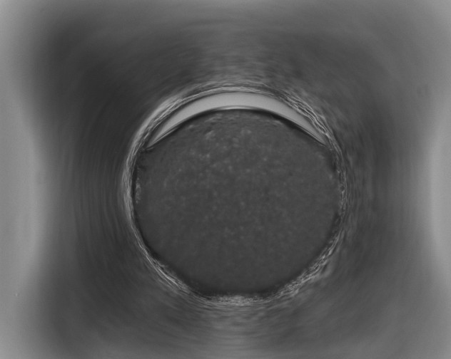X0000116870197200912221412