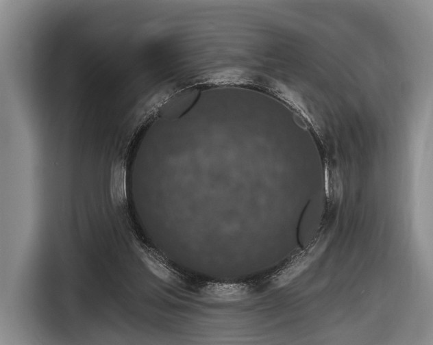 X0000116870205200912221412