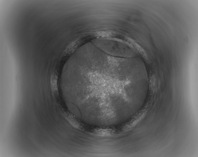 X0000116870209200912221412