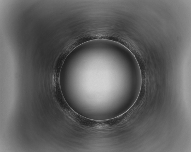 X0000116870210200912221412