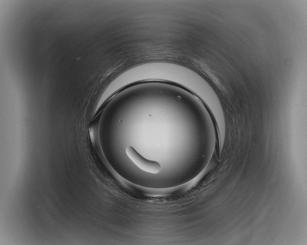 X0000116870211200912221412