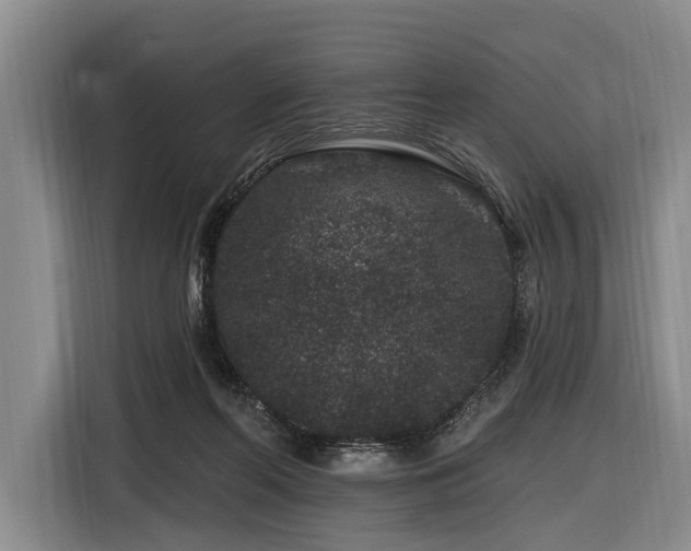 X0000116870214200912221412