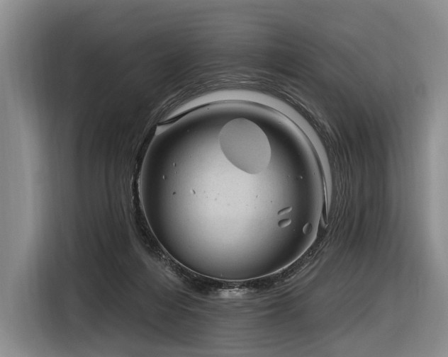 X0000116870216200912221412