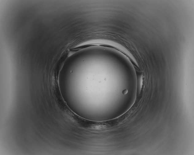 X0000116870220200912221412