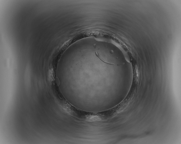 X0000116870224200912221412