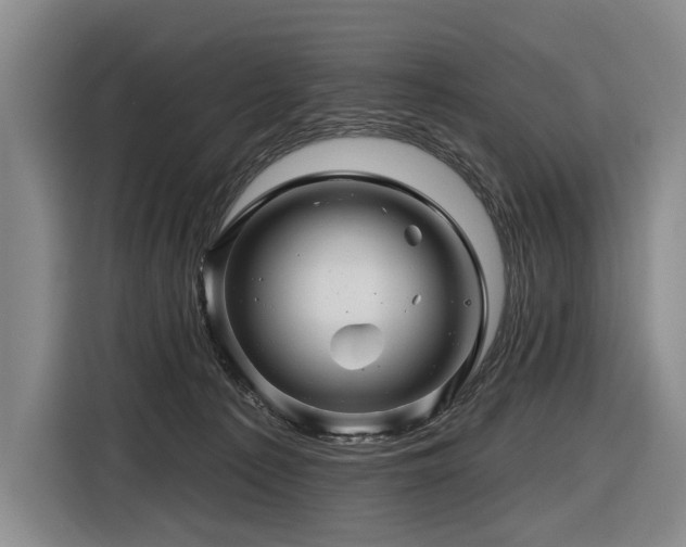 X0000116870225200912221412