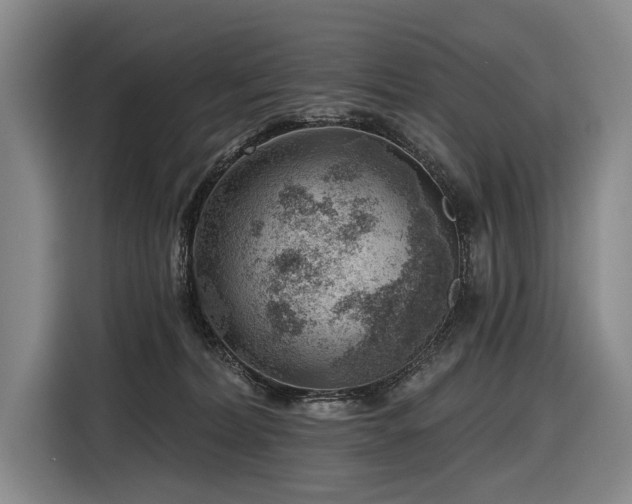 X0000116870228200912221412