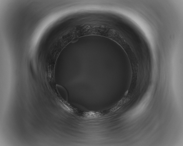 X0000116870239200912221412