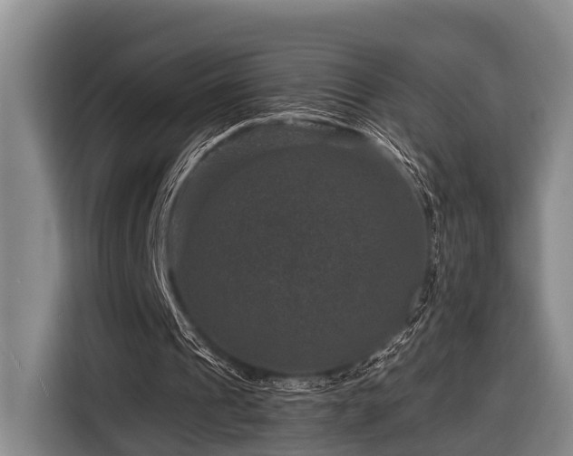 X0000116870241200912221411