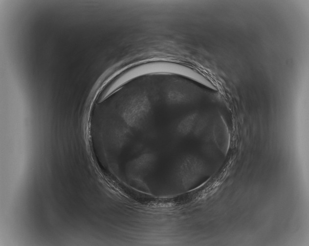 X0000116870247200912221411