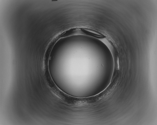 X0000116870252200912221411