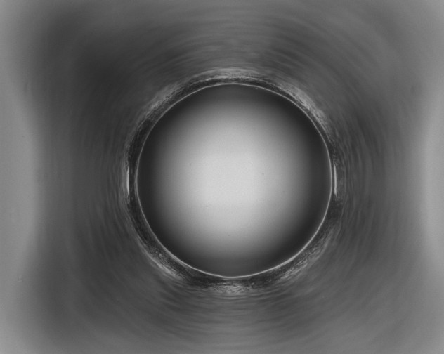 X0000116870253200912221411