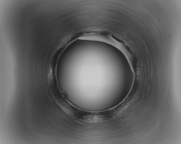 X0000116870254200912221411