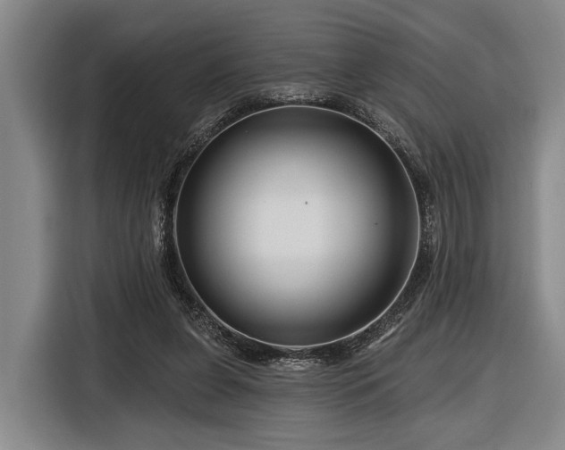 X0000116870255200912221411