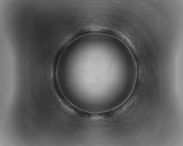 X0000116870257200912221411