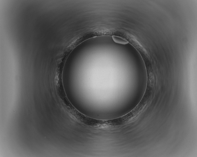 X0000116870259200912221411
