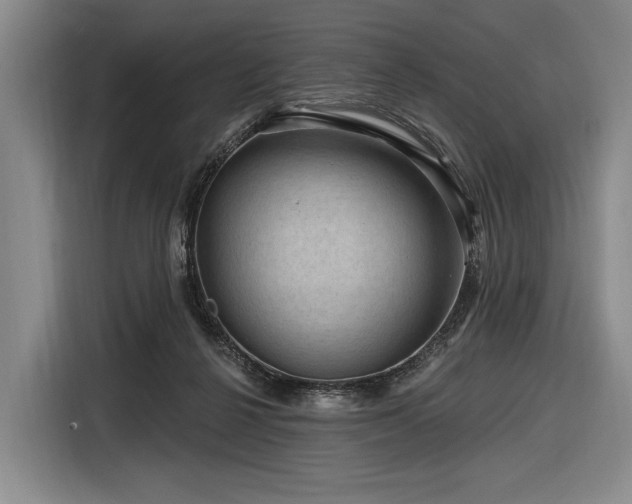 X0000116870264200912221411