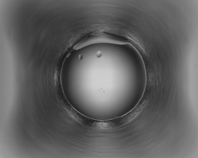 X0000116870265200912221411