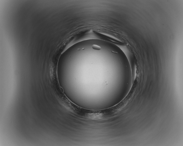 X0000116870266200912221411