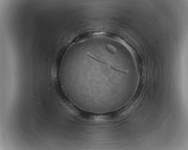 X0000116870268200912221411