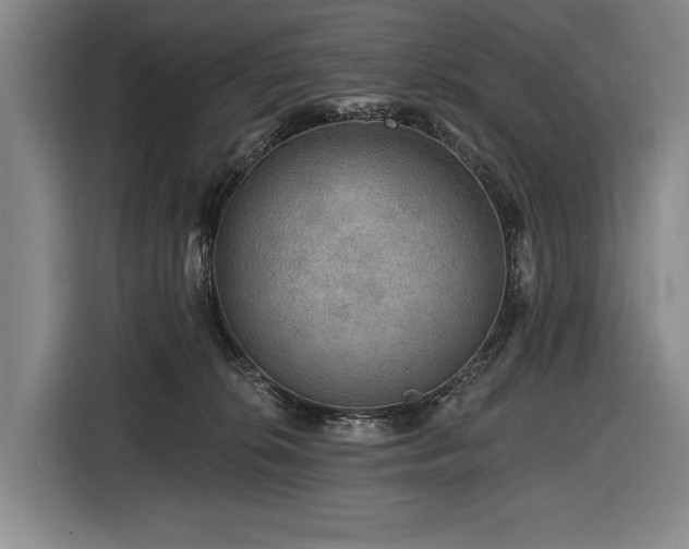 X0000116870276200912221412