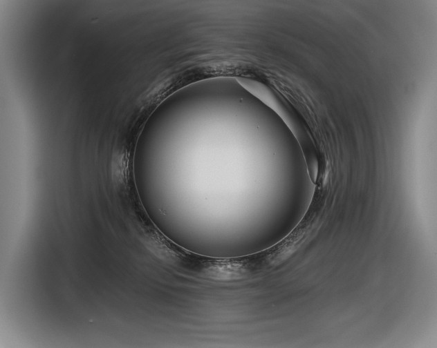 X0000116870278200912221412