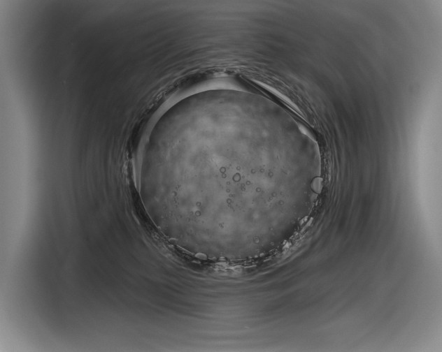 X0000116870279200912221412