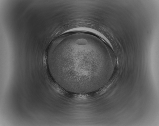 X0000116870282200912221412