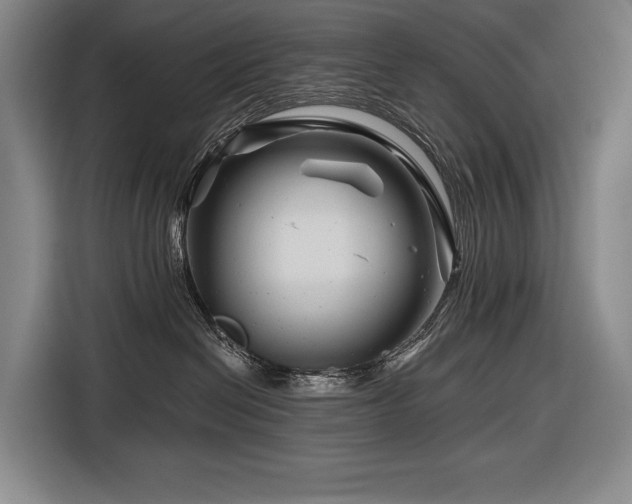 X0000116870286200912221412