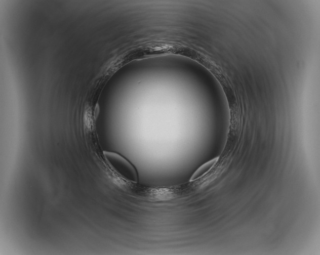 X0000116870287200912221412