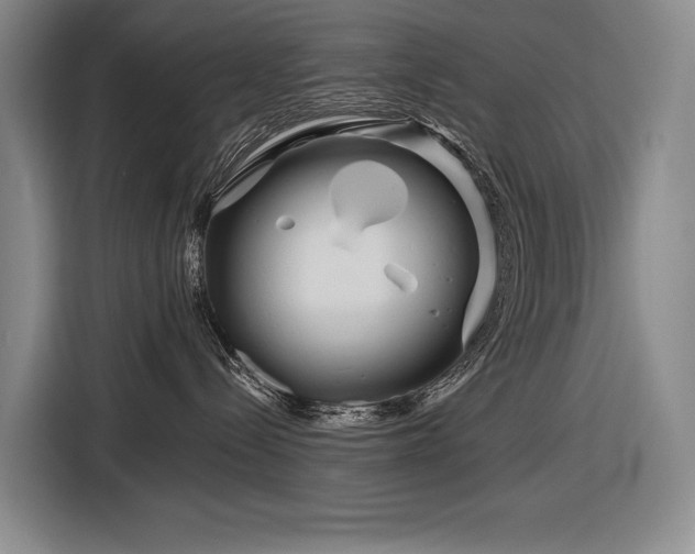 X0000116870288200912221412