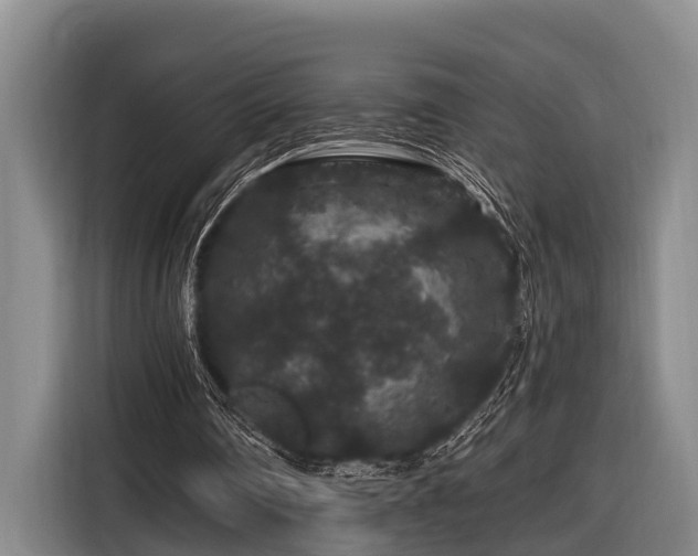 X0000116870290200912221411