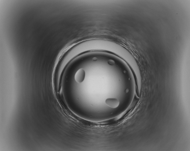 X0000116870294200912221411