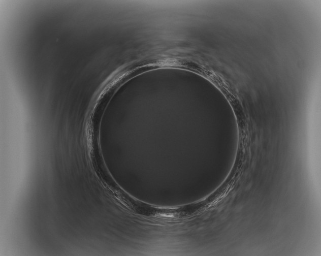 X0000116870295200912221411