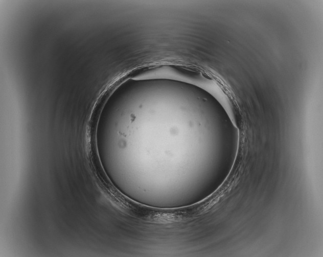 X0000116870298200912221411