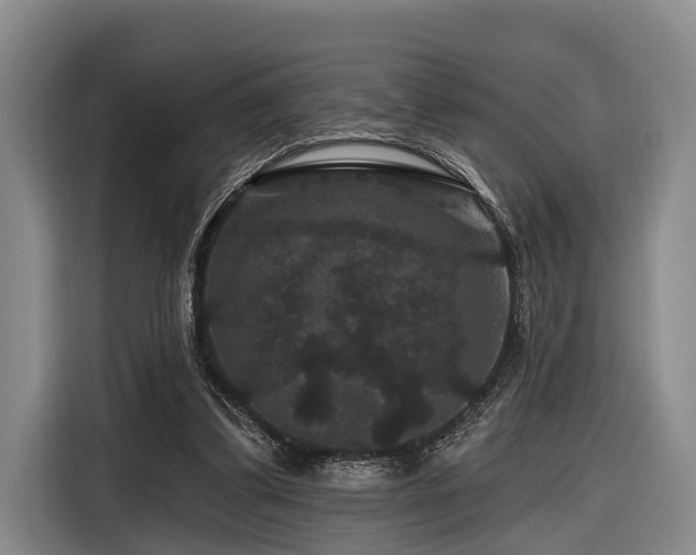 X0000116870299200912221411