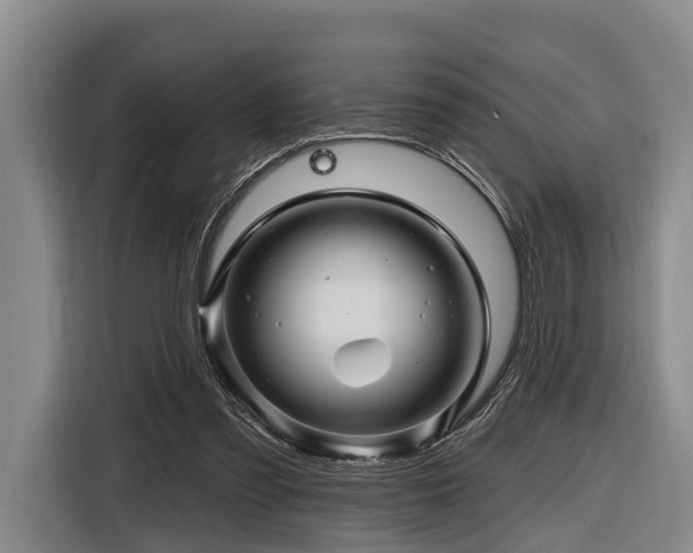 X0000116870301200912221411