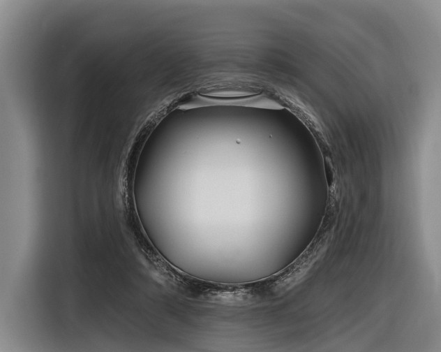 X0000116870306200912221411