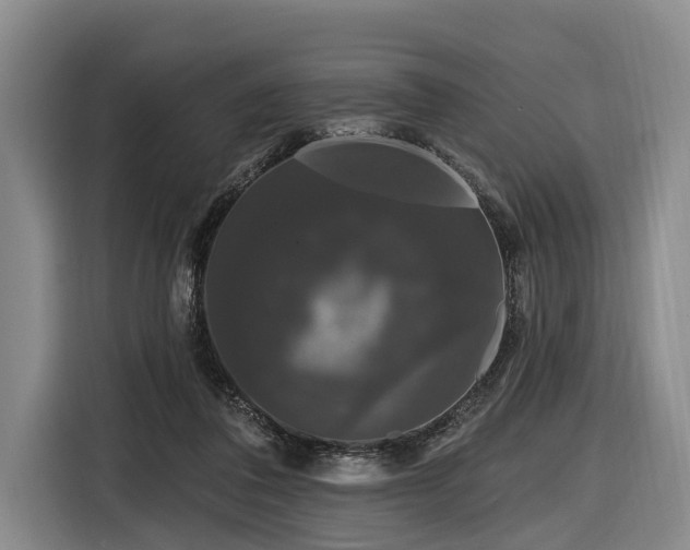 X0000116870308200912221411