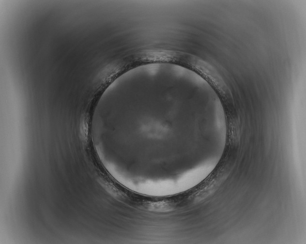X0000116870309200912221411
