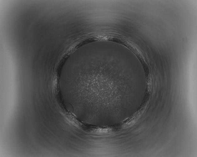 X0000116870314200912221411