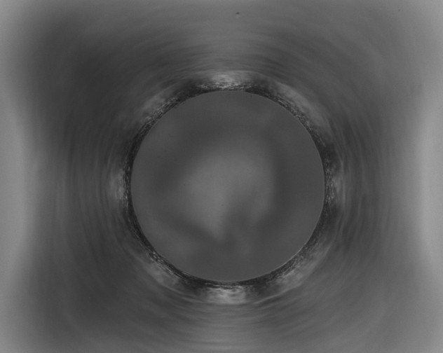 X0000116870317200912221411