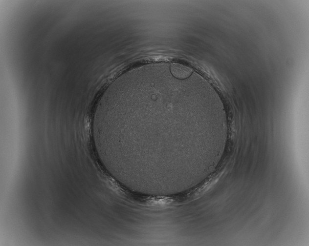 X0000116870321200912221411