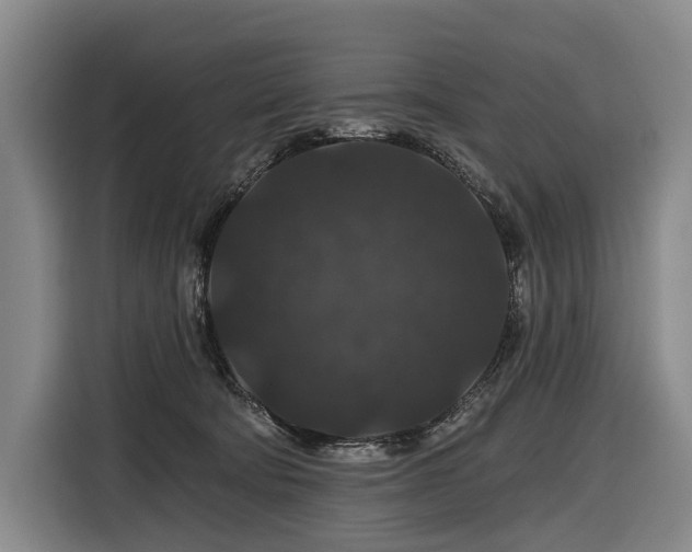 X0000116870322200912221411