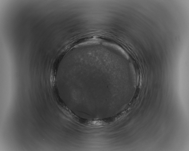 X0000116870324200912221411