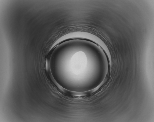 X0000116870328200912221411