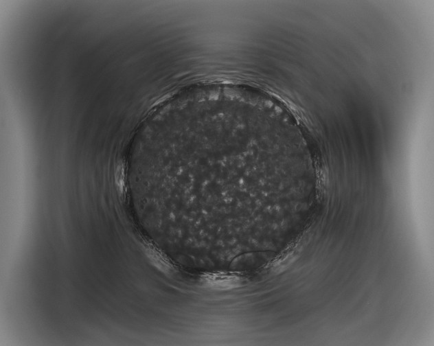 X0000116870331200912221411