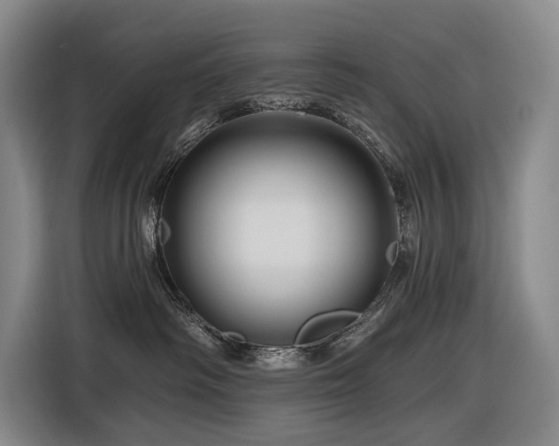 X0000116870334200912221410
