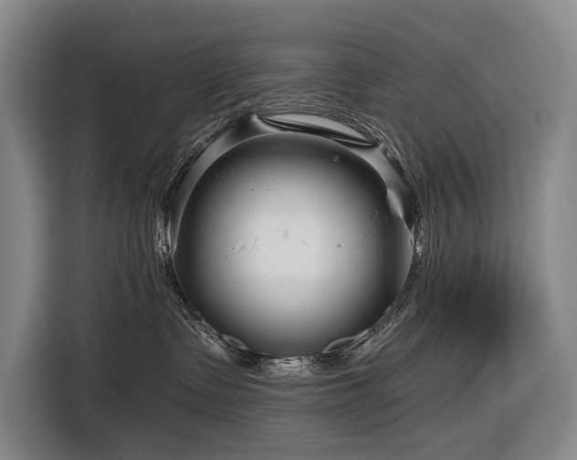 X0000116870335200912221410