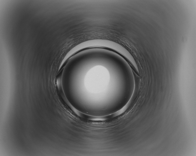 X0000116870336200912221410